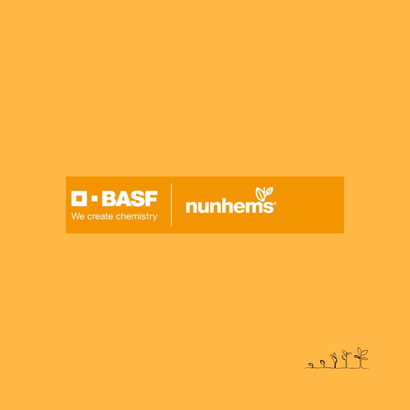 BASF Nunhems. Leader sementiero